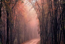 开云体育app-石家庄队伍再战告捷：破茧成蝶正当时