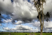 开云体育官方网站-格子军团奏响狂想曲！3-1横扫瑞士，晋级之路燃起燎原之火Description:克罗地亚用教科书级战术演绎击溃瑞士，魔笛领衔黄金一代再露獠牙。从铁血防守到致命反击，揭秘胜利背后的双重引擎！Keywords:克罗地亚vs瑞士，世界杯晋级，莫德里奇，布罗佐维奇，格瓦迪奥尔，3-5-2阵型