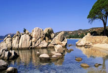 开云APP-卡尔蒂斯球队配合日益默契，世俱杯表现备受关注