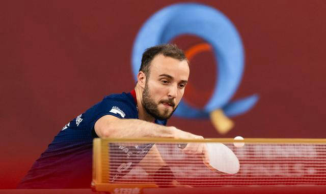 卫冕冠军失分丢人，遗憾连败暂居中游的简单介绍