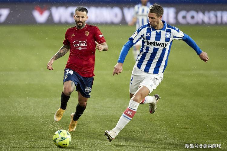 开云体育app-霍芬海姆大捷告捷，欧战希望重现曙光的简单介绍