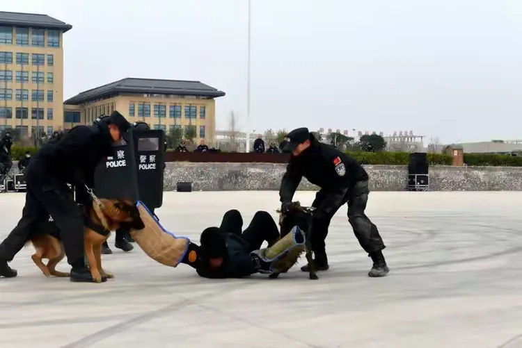 邯郸队员士气高昂，备战升级战