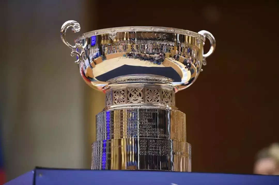 捷克取得胜利，卫冕冠军晋级下一轮的简单介绍