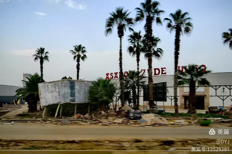 瓦伦西亚主场不敌格兰纳达