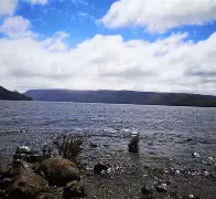 费尔德克里希莱根球迷加入环保行动