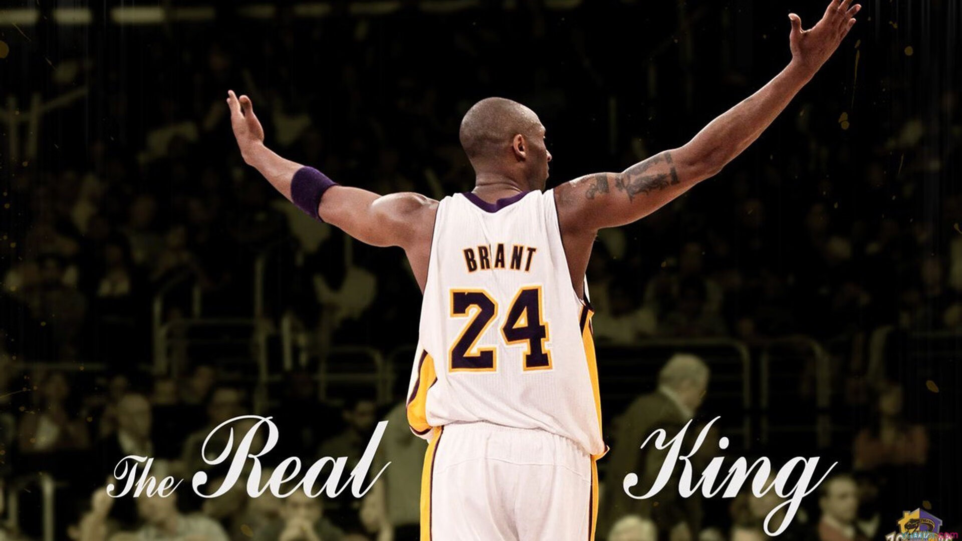 狂澜既倒，审判之夜，爱德华兹在破碎的篮网镜像前为老鹰加冕